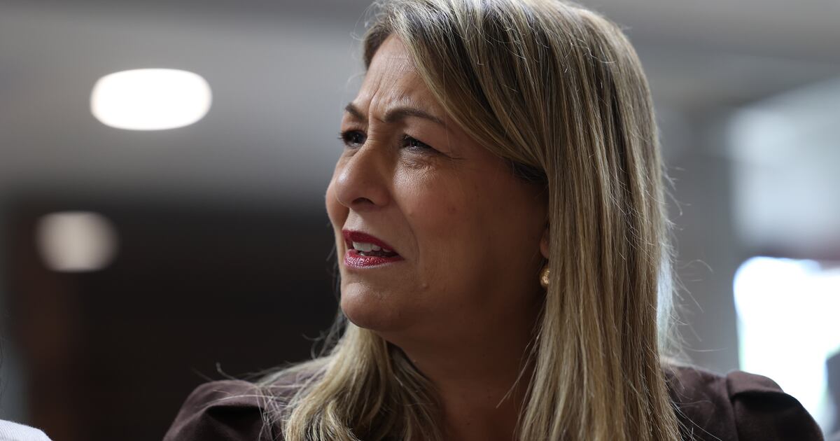 La secretaria de la Familia, Suzanne Roig ante la comisión del senado sobre el contrato de 38.5 millones.