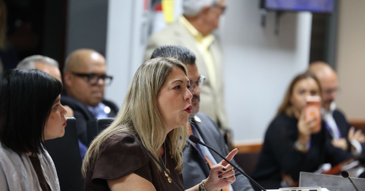 La secretaria de la Familia, Suzanne Roig ante la comisión del senado sobre el contrato de 38.5 millones.