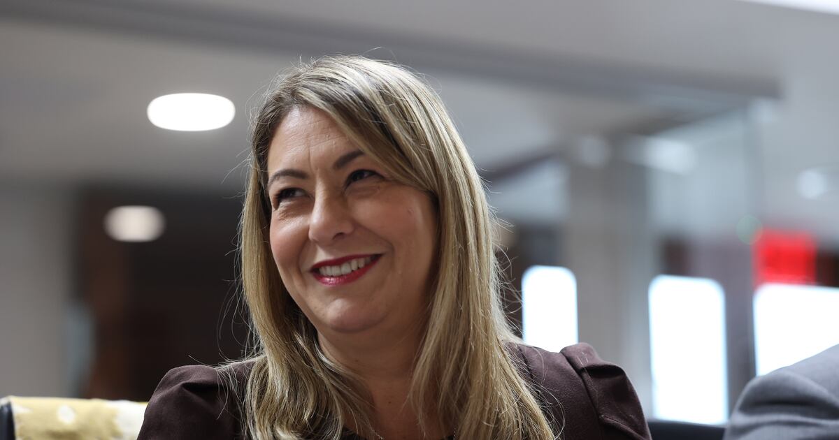 La secretaria de la Familia, Suzanne Roig ante la comisión del senado sobre el contrato de 38.5 millones.