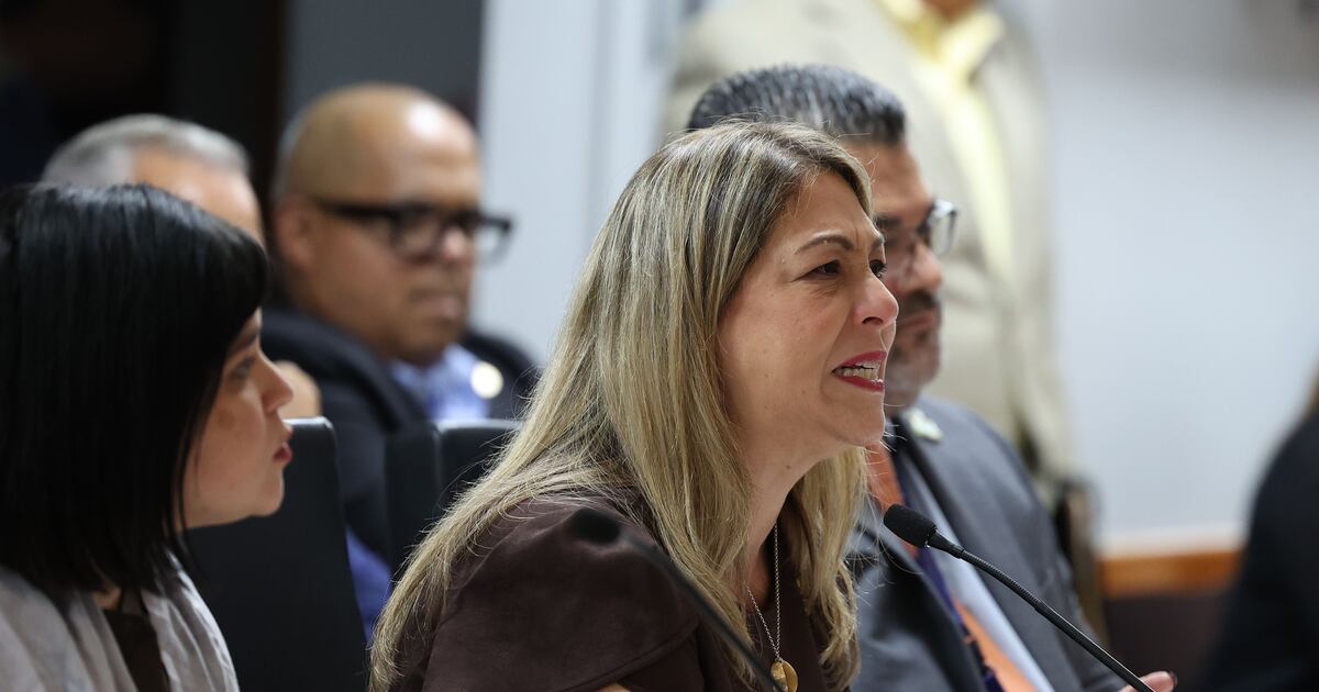 La secretaria de la Familia, Suzanne Roig ante la comisión del senado sobre el contrato de 38.5 millones.